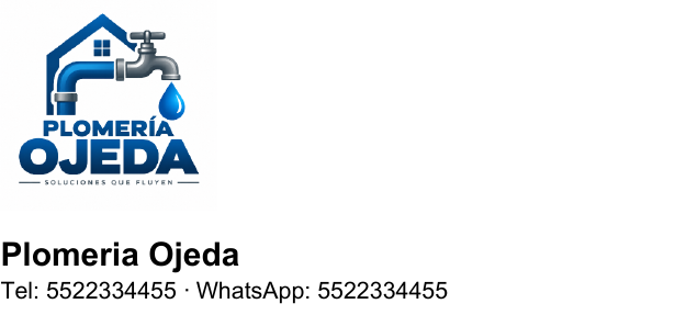 Encabezado real del PDF demo con logo de Plomería Ojeda, nombre Plomeria Ojeda, teléfono y WhatsApp ficticios.